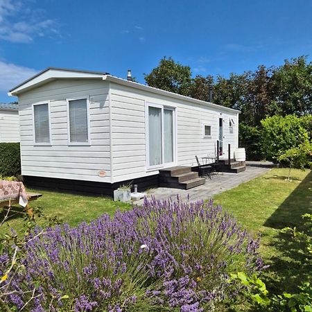 Eldorado Aan Zee Villa Petten Kültér fotó