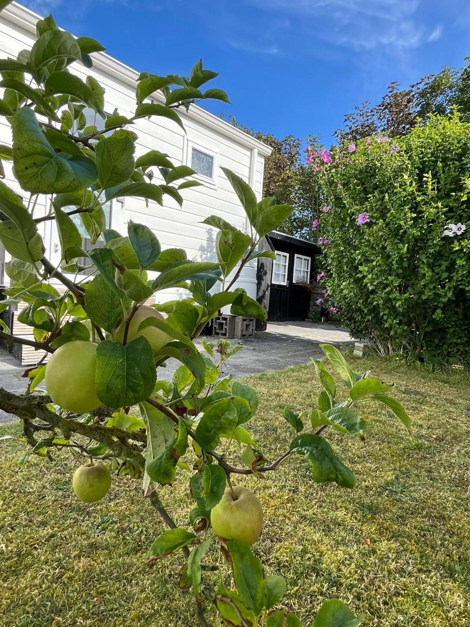 Eldorado Aan Zee Villa Petten Kültér fotó