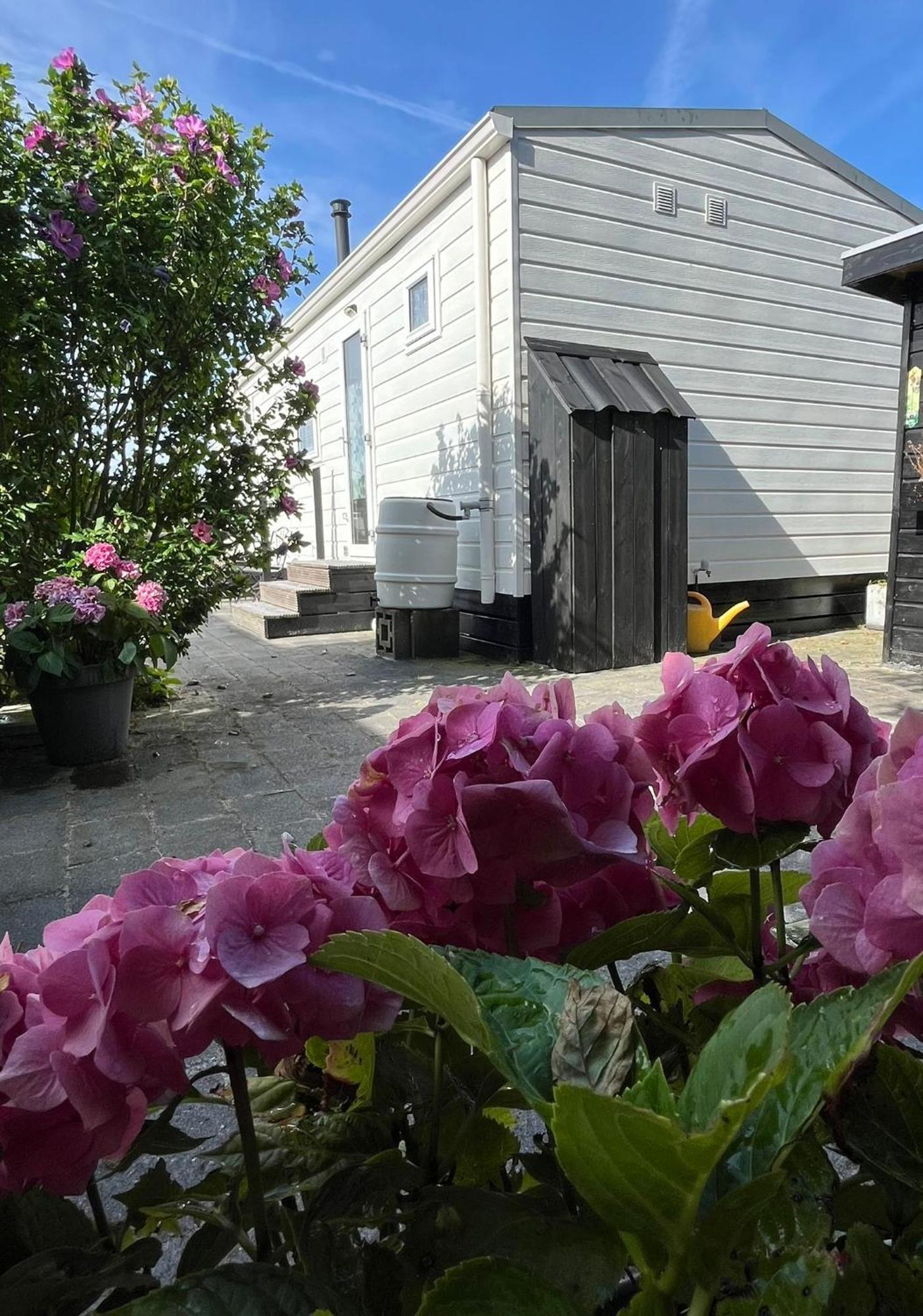 Eldorado Aan Zee Villa Petten Kültér fotó