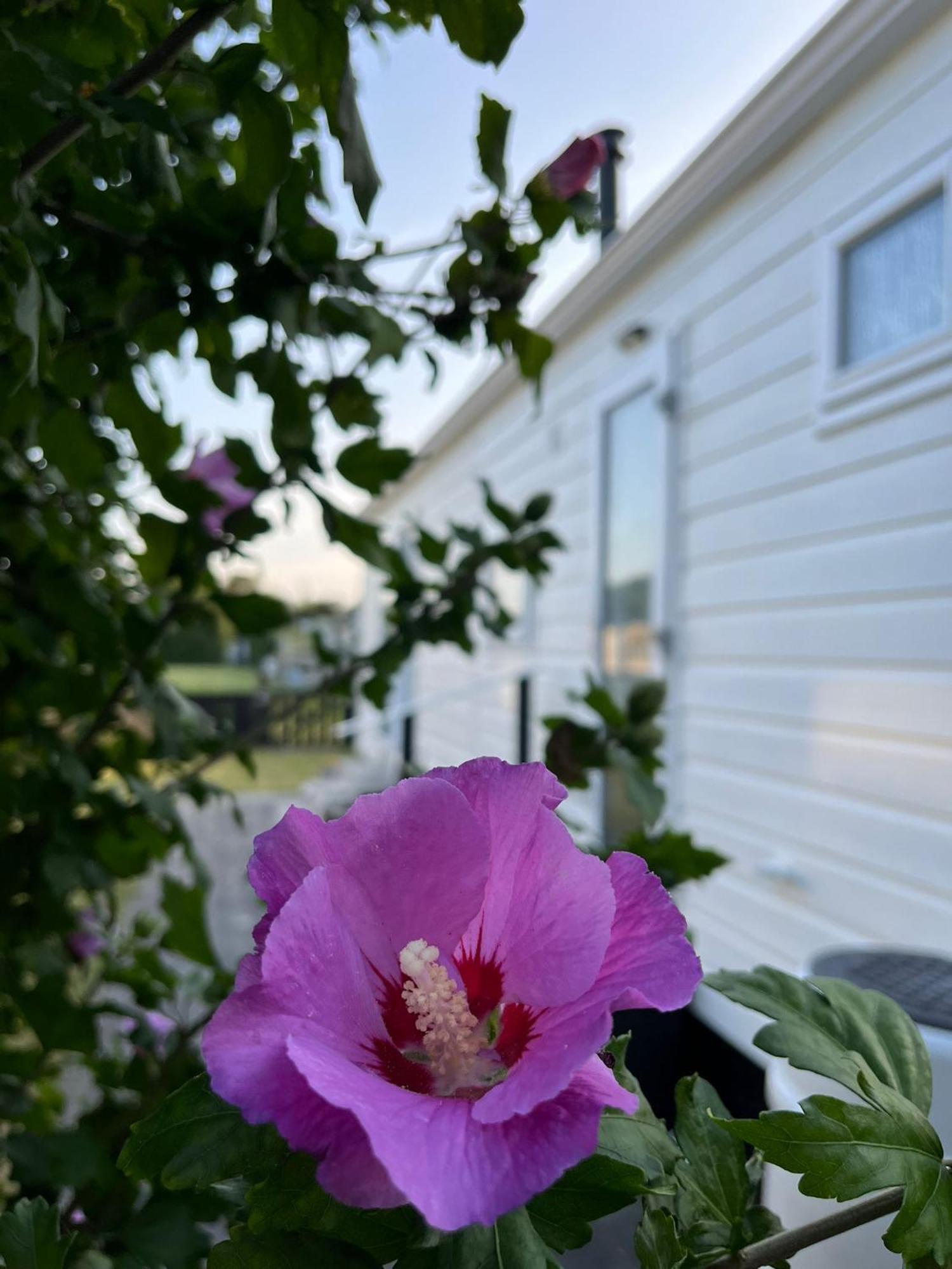 Eldorado Aan Zee Villa Petten Kültér fotó